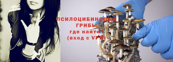прущая мука Алзамай