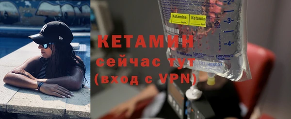 прущие грибы Инсар