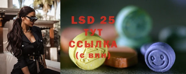 стафф Инта