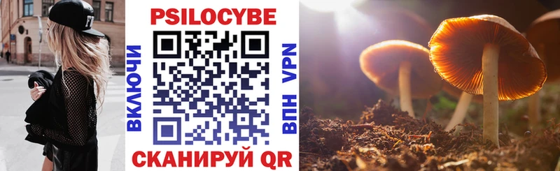 Псилоцибиновые грибы GOLDEN TEACHER  Чухлома 